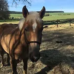 La Petite Maison بيت للعطل