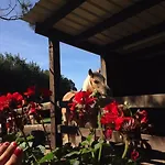 بيت للعطل La Petite Maison