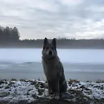 La Petite Maison بيت للعطل