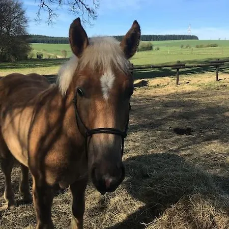 La Petite Maison Nyaraló