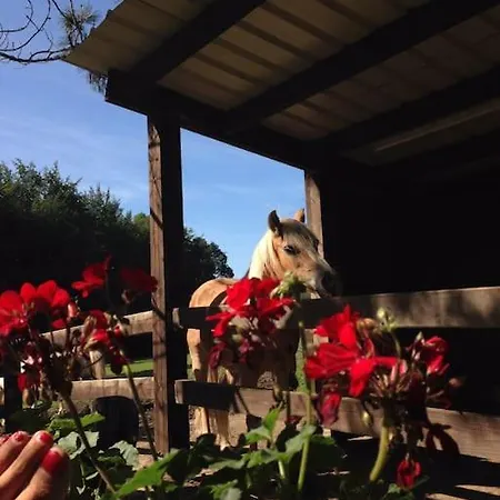 Nyaraló La Petite Maison