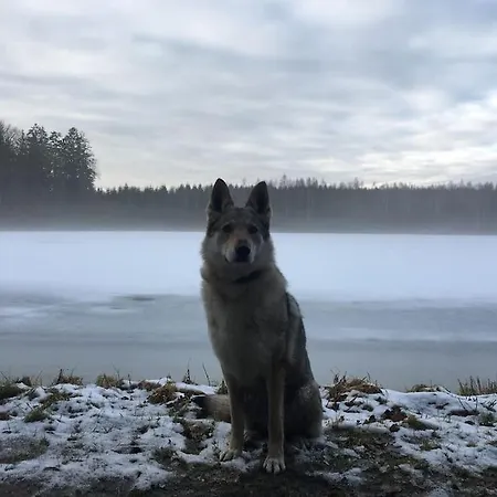 La Petite Maison Nyaraló