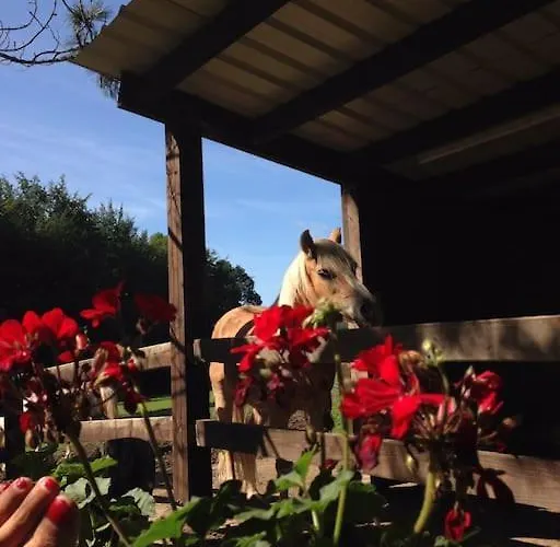 Hébergement de vacances La Petite Maison