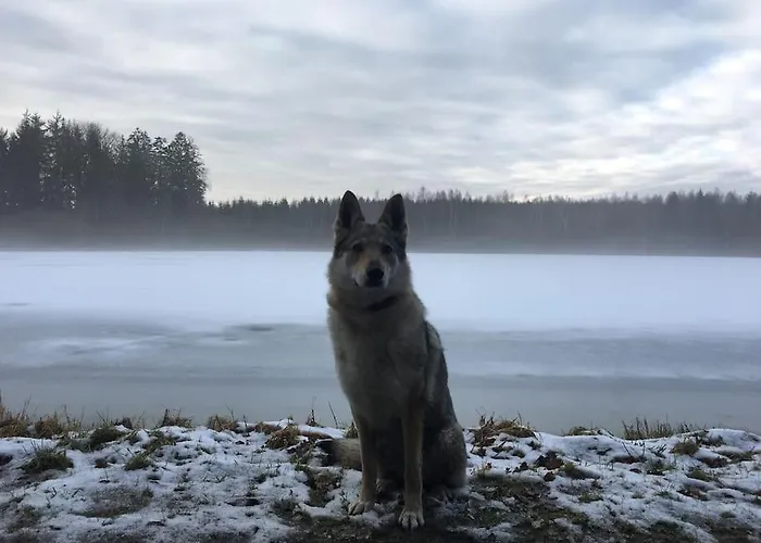La Petite Maison Hébergement de vacances