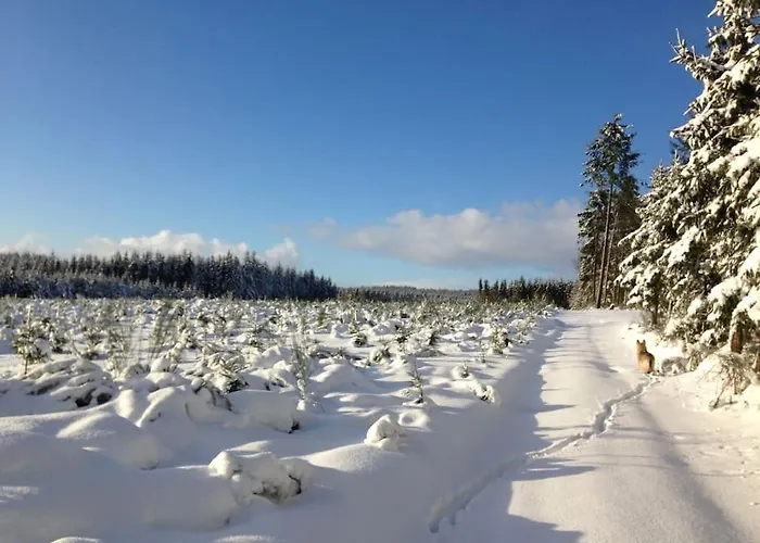 Hébergement de vacances La Petite Maison