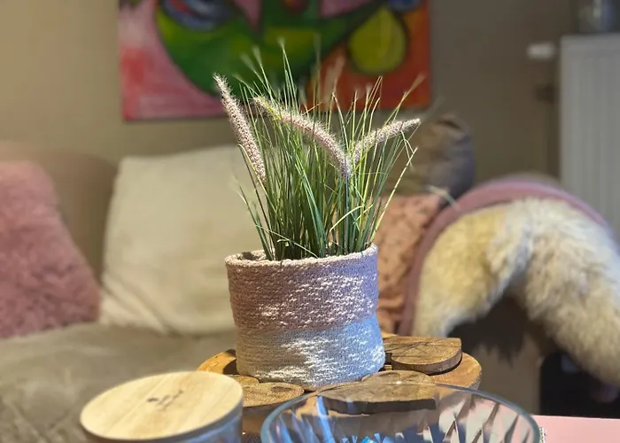 Hébergement de vacances La Petite Maison Montleban